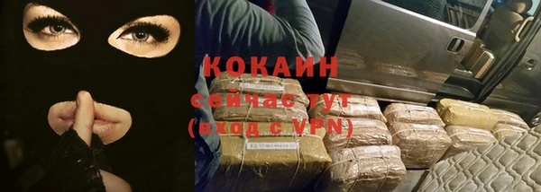 эйфоретик Покачи