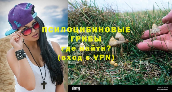 каннабис Алзамай