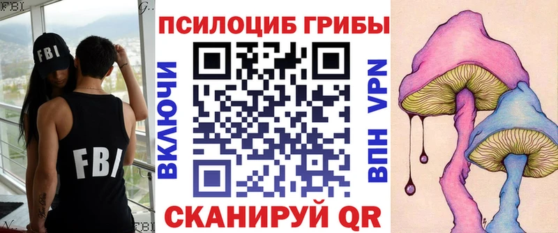 Галлюциногенные грибы Psilocybine cubensis  продажа наркотиков  Тулун 